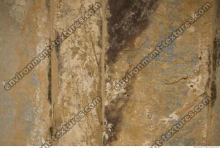 Photo Texture of Habu 0102